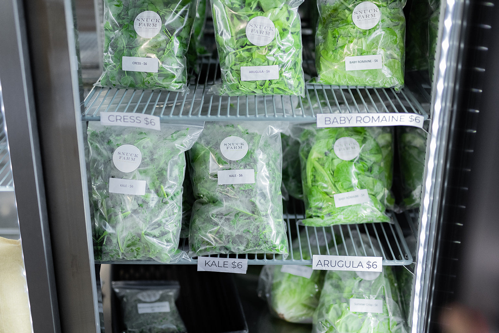 Snuck Share Week #23, 2020