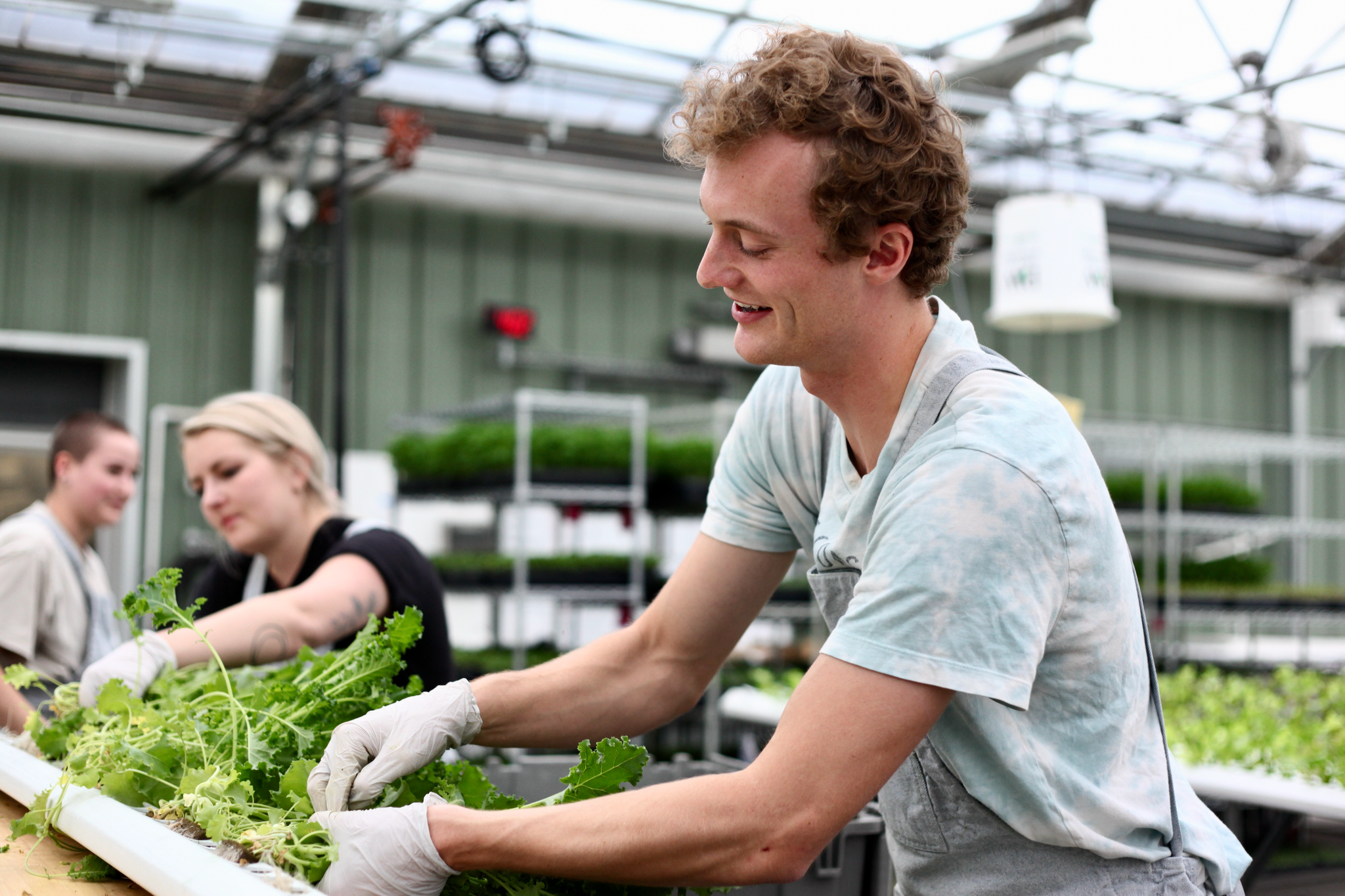 Snuck Shares Week #51, 2022