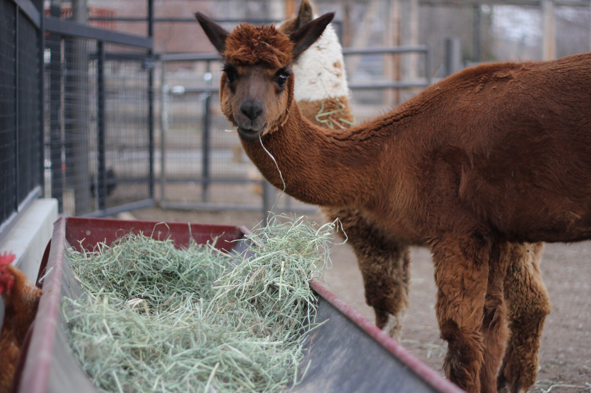 Snuck Shares Week #49, 2022