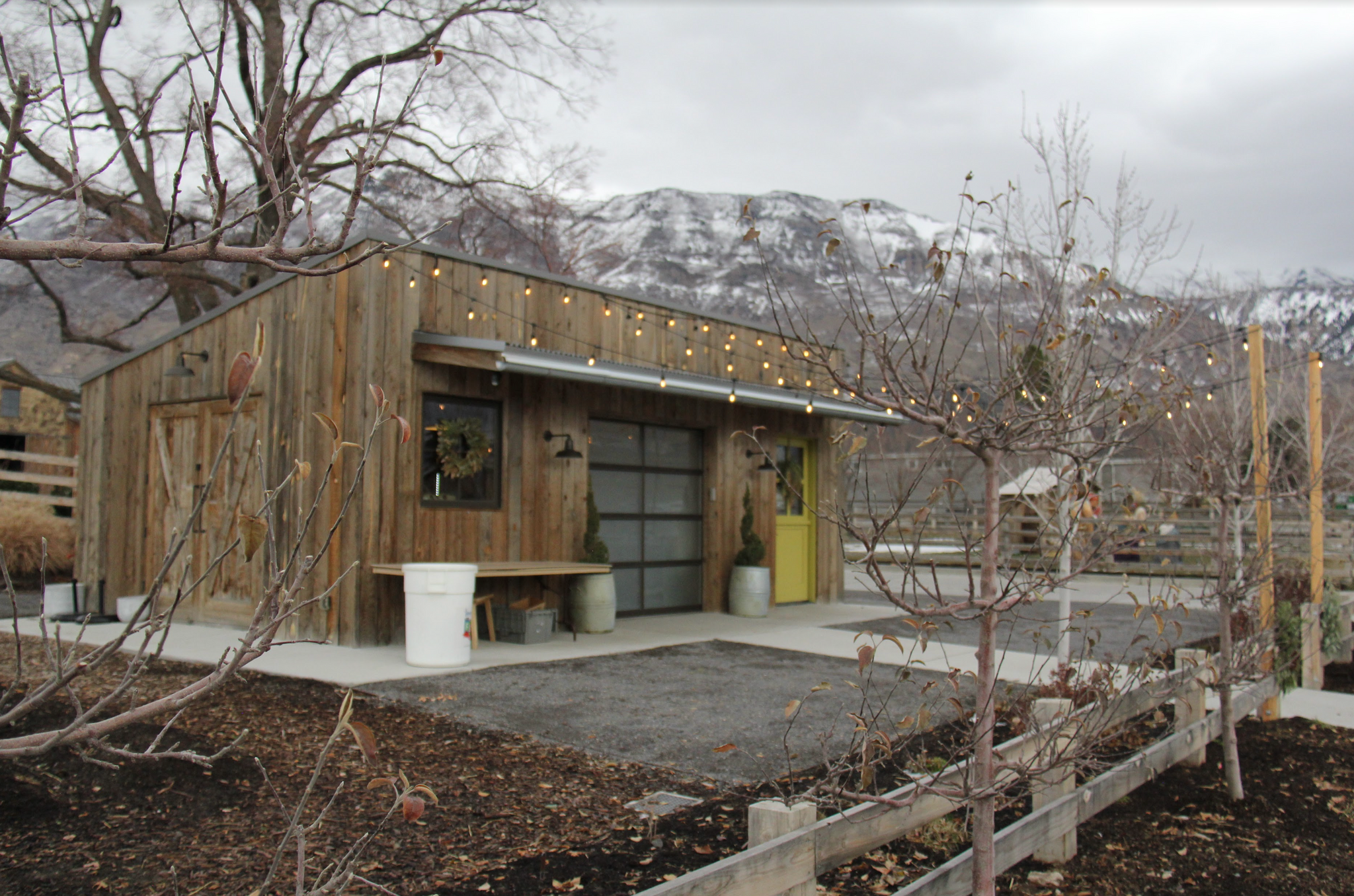 Snuck Shares Week #50, 2022