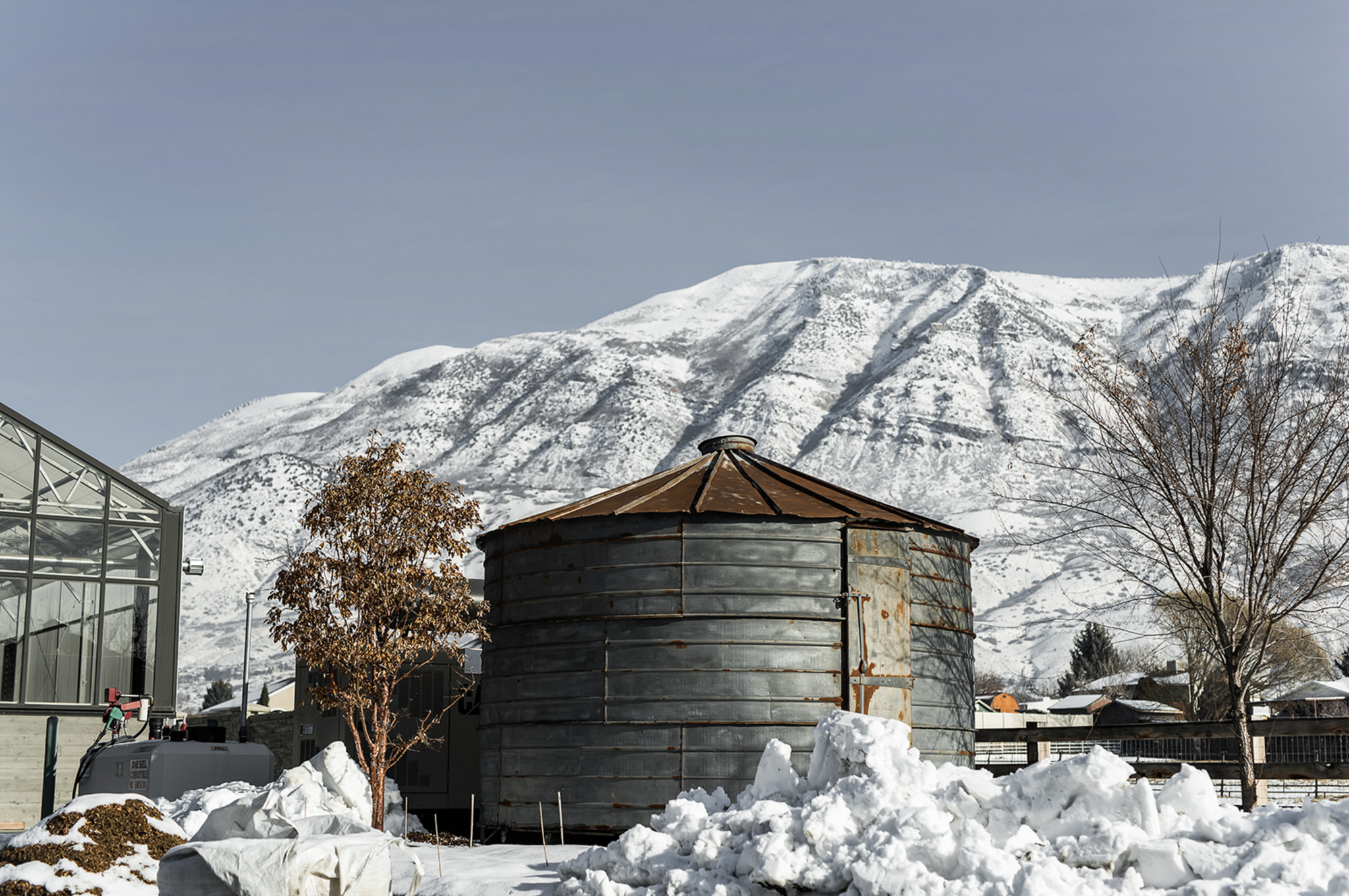 Snuck Shares Week #52, 2022