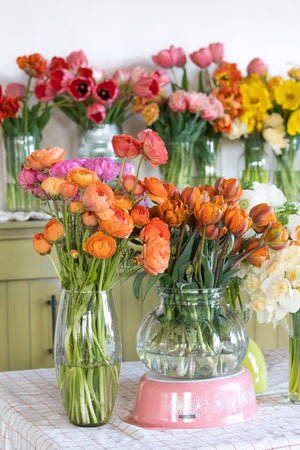 Seasonal Floral Experience: Spring Edition 2024