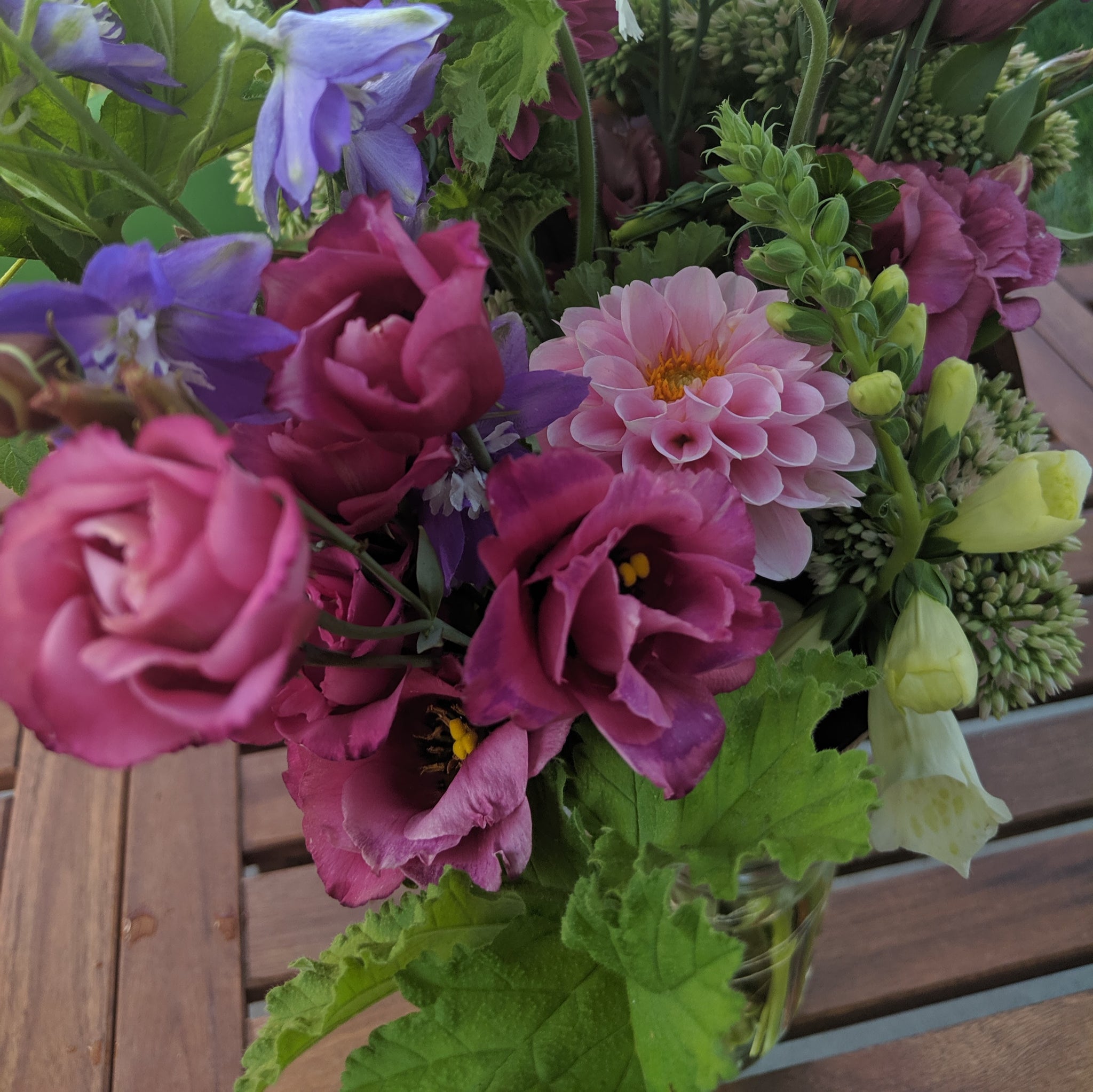 Lisianthus Arena 3 RED